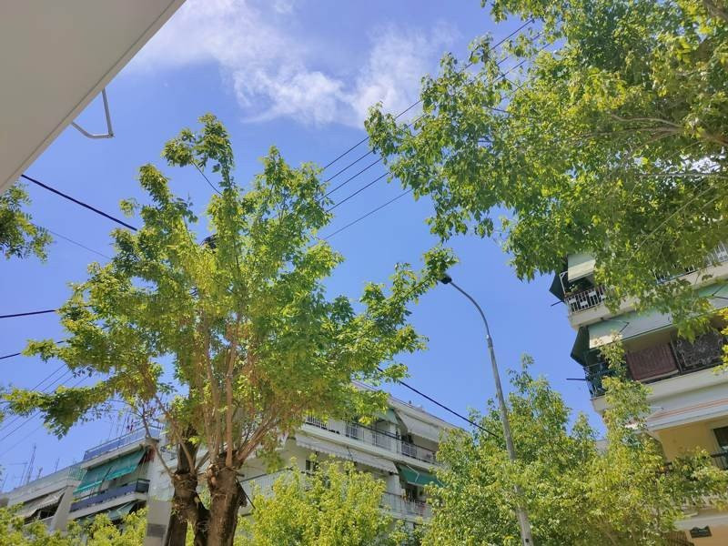 Realme X50 Pro 5G Review | 