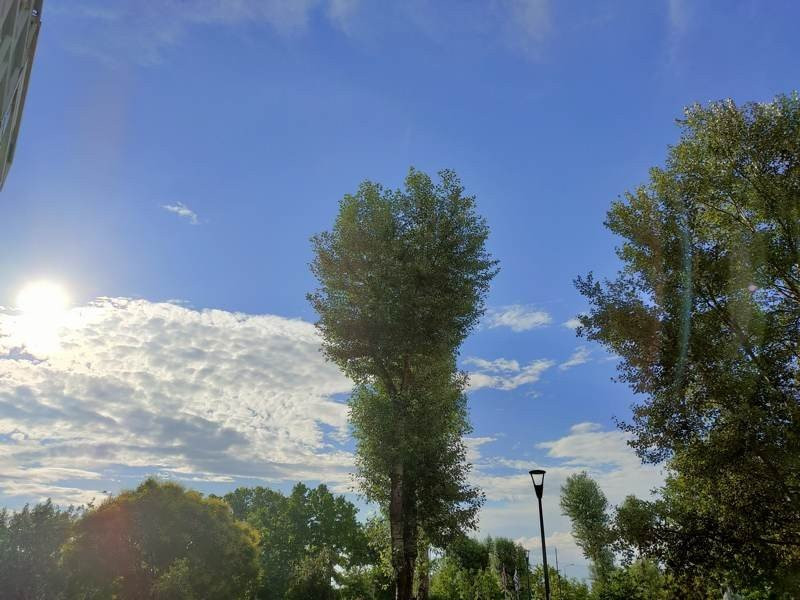 Realme X50 Pro 5G Review | 