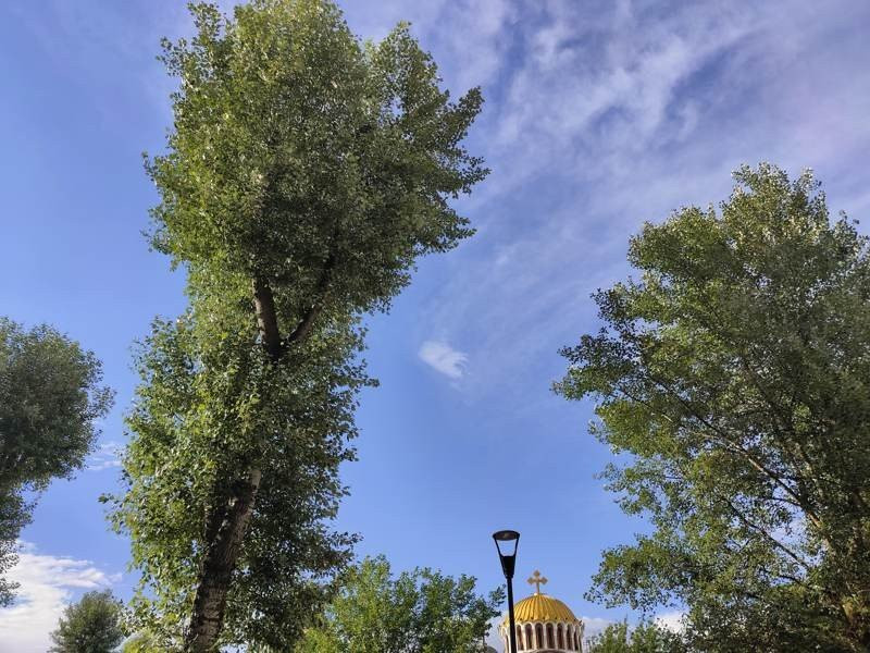 Realme X50 Pro 5G Review | 