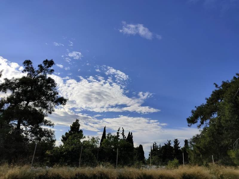 Realme X50 Pro 5G Review | 