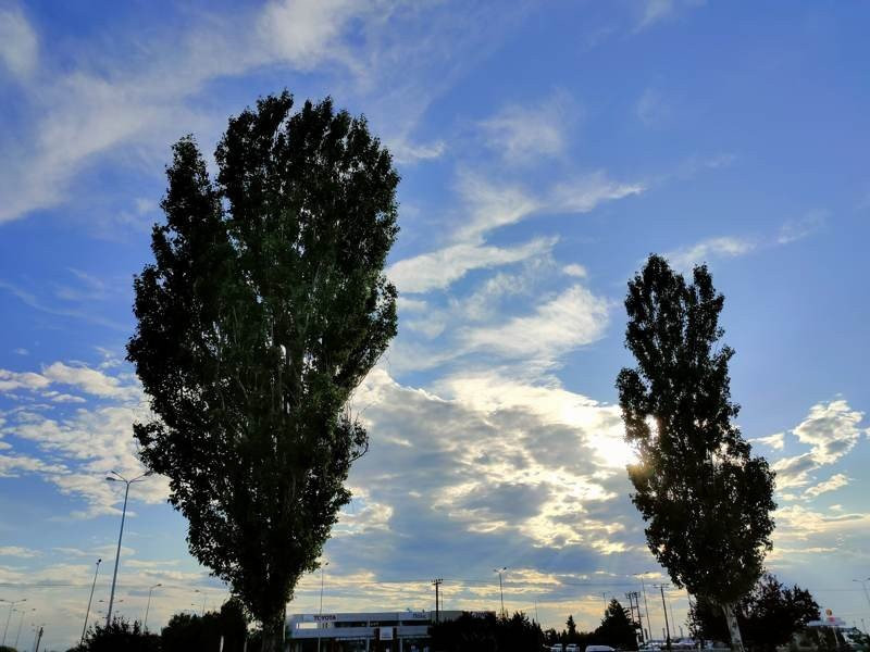 Realme X50 Pro 5G Review | 