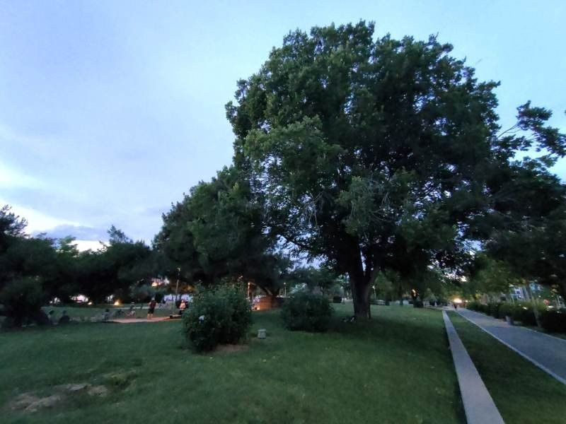 Realme X50 Pro 5G Review | 