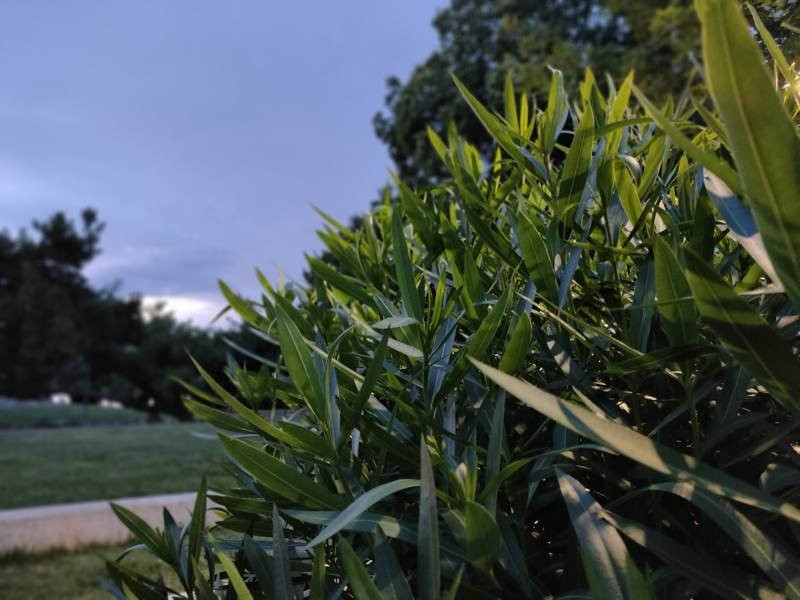 Realme X50 Pro 5G Review | 