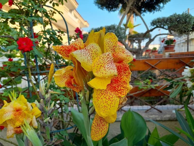 Samsung Galaxy A21s: Πολύ καλή κάμερα και αυτονομία στην entry-level κατηγορία | 