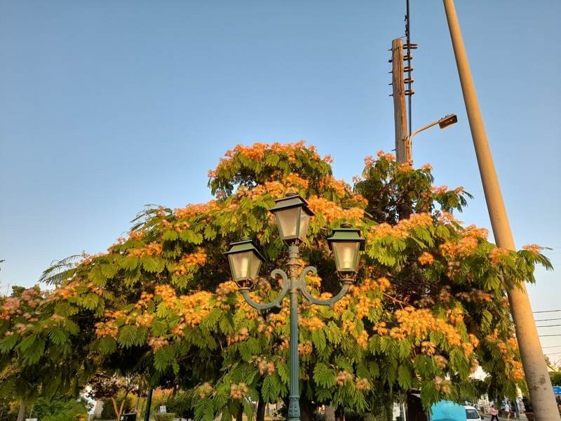 Samsung Galaxy A21s: Πολύ καλή κάμερα και αυτονομία στην entry-level κατηγορία | 