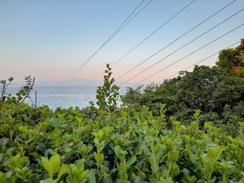 Samsung Galaxy A21s: Πολύ καλή κάμερα και αυτονομία στην entry-level κατηγορία | 