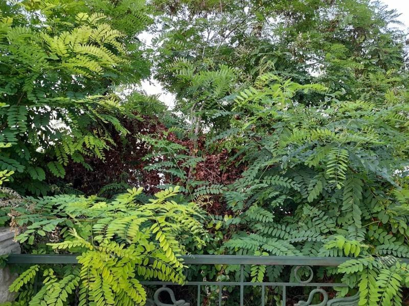 Samsung Galaxy A21s: Πολύ καλή κάμερα και αυτονομία στην entry-level κατηγορία | 