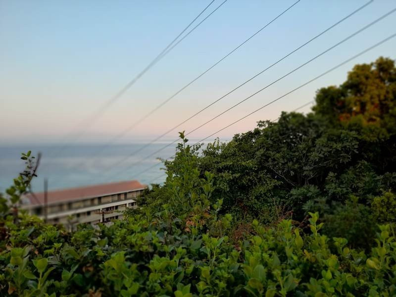 Samsung Galaxy A21s: Πολύ καλή κάμερα και αυτονομία στην entry-level κατηγορία | 