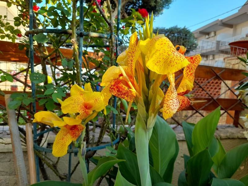 Samsung Galaxy A21s: Πολύ καλή κάμερα και αυτονομία στην entry-level κατηγορία | 