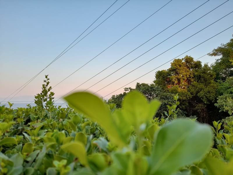 Samsung Galaxy A21s: Πολύ καλή κάμερα και αυτονομία στην entry-level κατηγορία | 