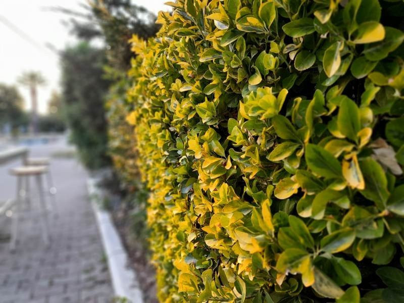 Samsung Galaxy A21s: Πολύ καλή κάμερα και αυτονομία στην entry-level κατηγορία | 