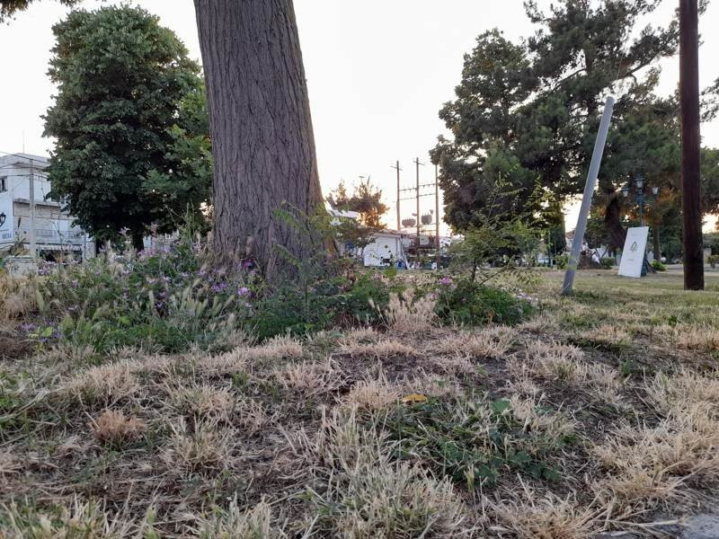 Samsung Galaxy A21s: Πολύ καλή κάμερα και αυτονομία στην entry-level κατηγορία | 