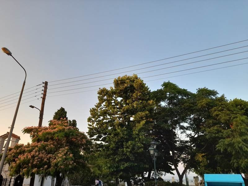 Samsung Galaxy A21s: Πολύ καλή κάμερα και αυτονομία στην entry-level κατηγορία | 