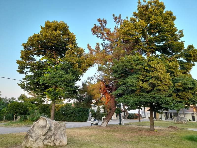 Samsung Galaxy A21s: Πολύ καλή κάμερα και αυτονομία στην entry-level κατηγορία | 