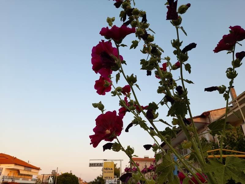 Samsung Galaxy A21s: Πολύ καλή κάμερα και αυτονομία στην entry-level κατηγορία | 