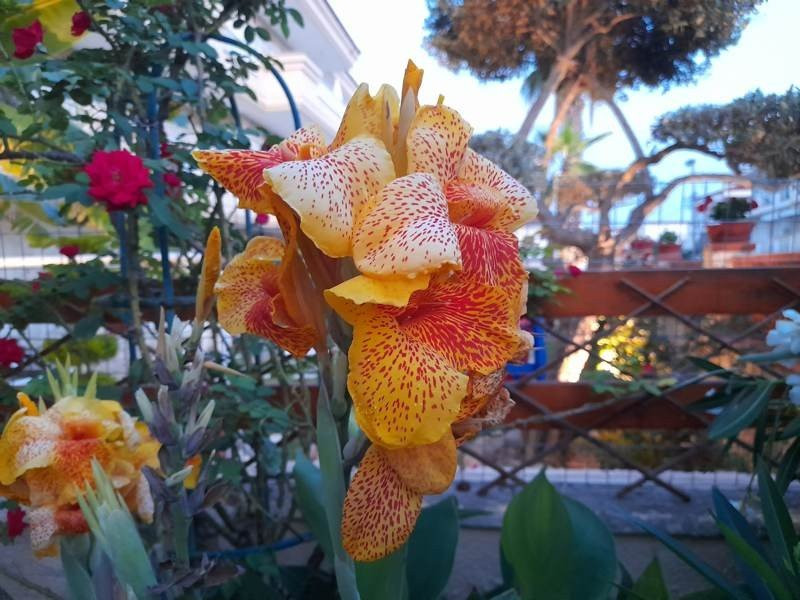 Samsung Galaxy A21s: Πολύ καλή κάμερα και αυτονομία στην entry-level κατηγορία | 