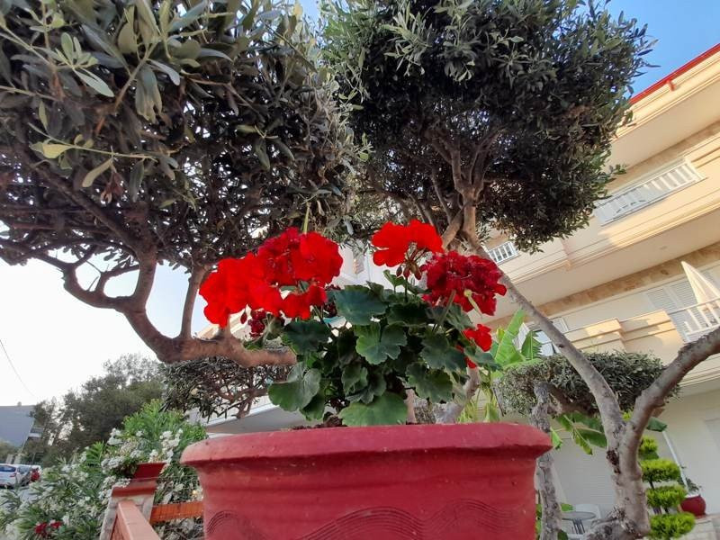 Samsung Galaxy A21s: Πολύ καλή κάμερα και αυτονομία στην entry-level κατηγορία | 