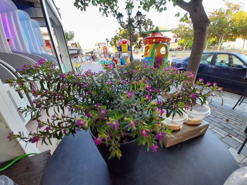 Samsung Galaxy A21s: Πολύ καλή κάμερα και αυτονομία στην entry-level κατηγορία | 