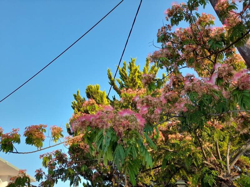 Samsung Galaxy A21s: Πολύ καλή κάμερα και αυτονομία στην entry-level κατηγορία | 