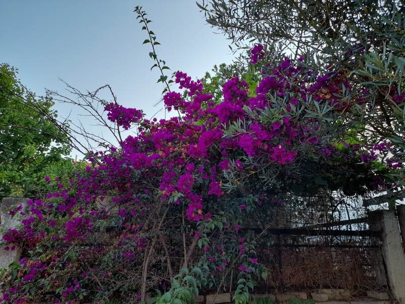 Samsung Galaxy A21s: Πολύ καλή κάμερα και αυτονομία στην entry-level κατηγορία | 