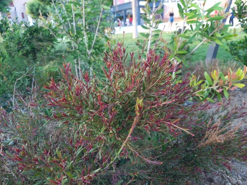 Samsung Galaxy A41 Review | 