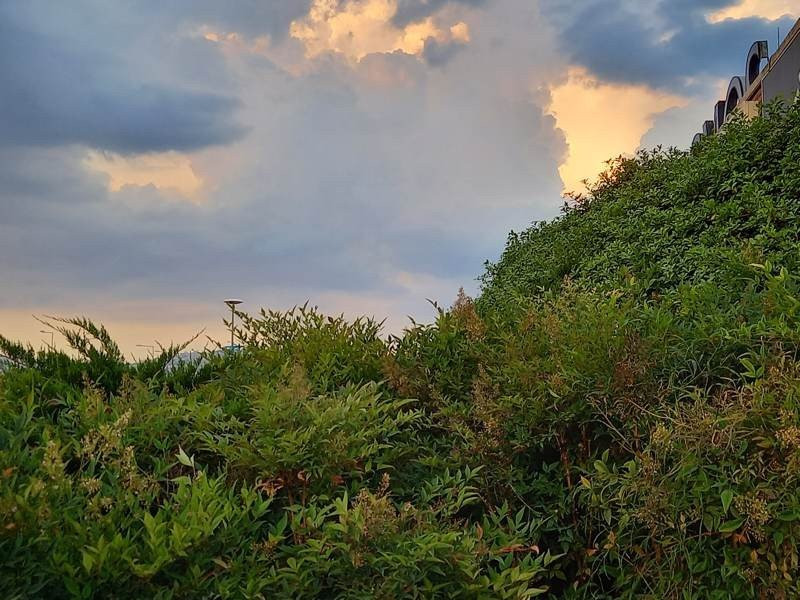 Samsung Galaxy A41 Review | 