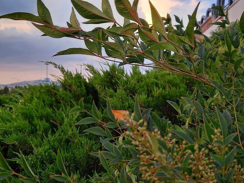 Samsung Galaxy A41 Review | 