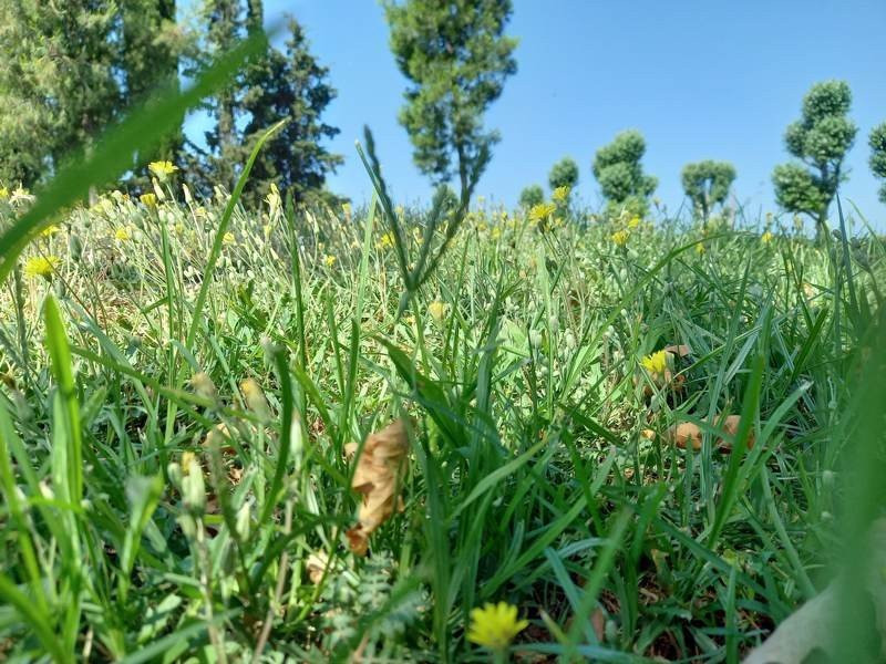 Samsung Galaxy A41 Review | 