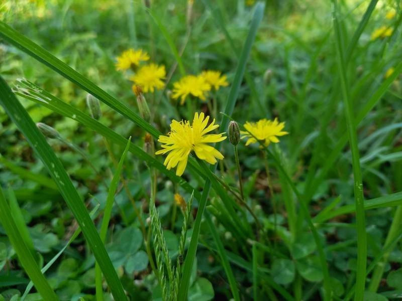 Samsung Galaxy A41 Review | 