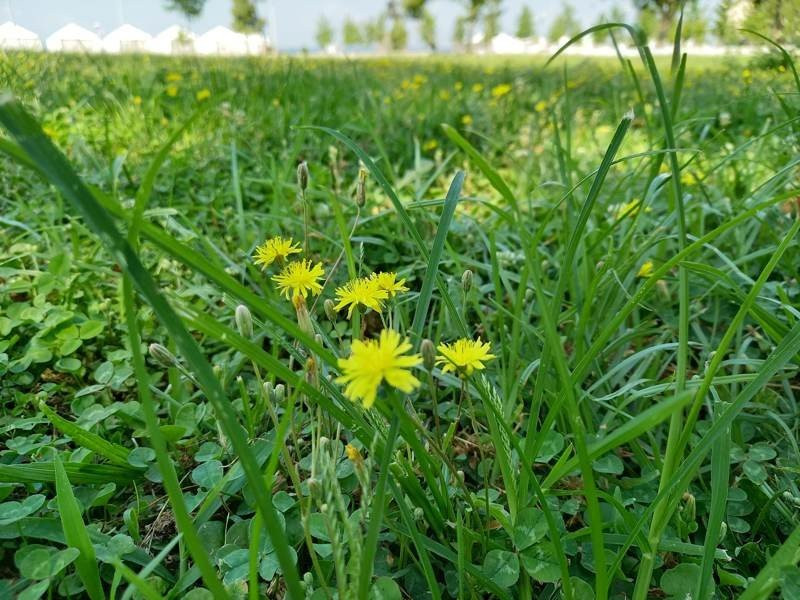 Samsung Galaxy A41 Review | 