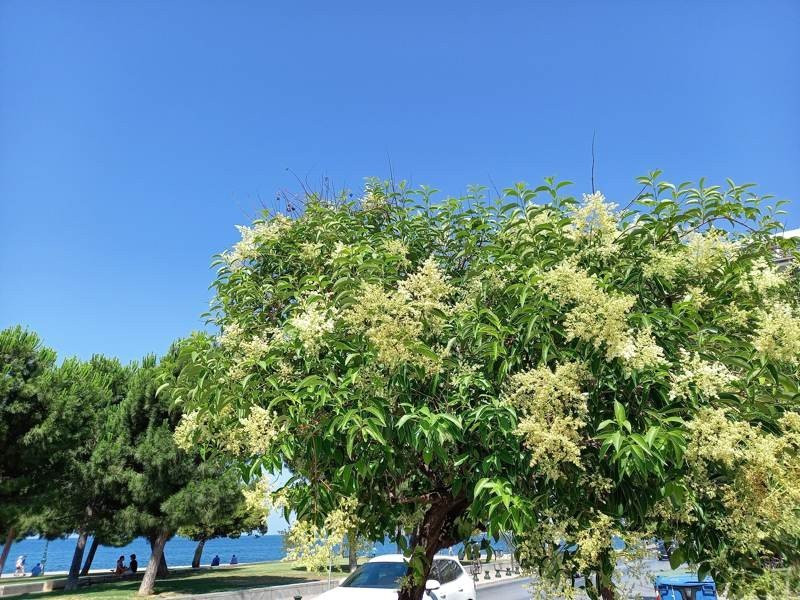 Samsung Galaxy A41 Review | 