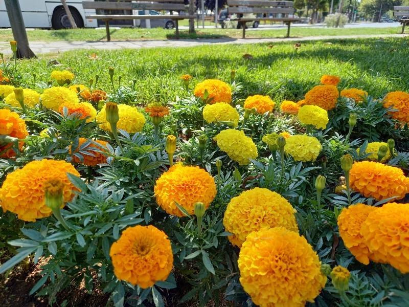 Samsung Galaxy A41 Review | 