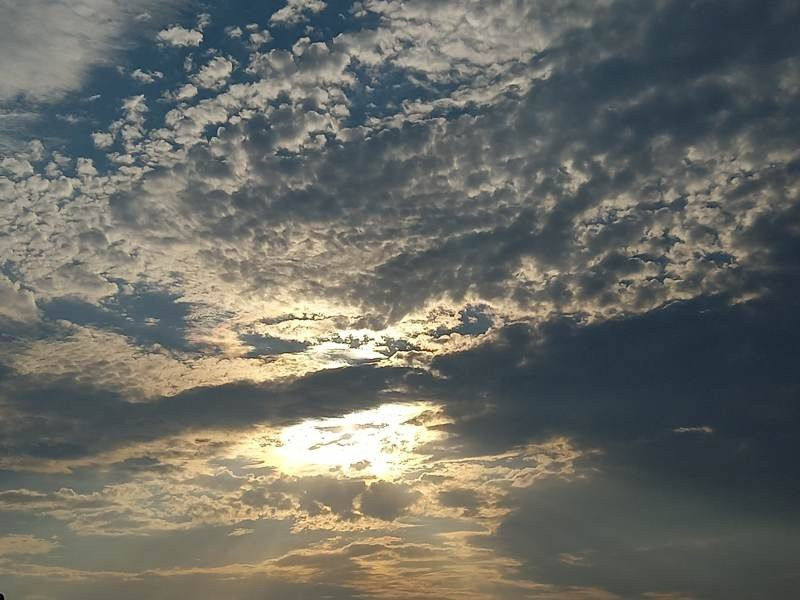 Samsung Galaxy A41 Review | 