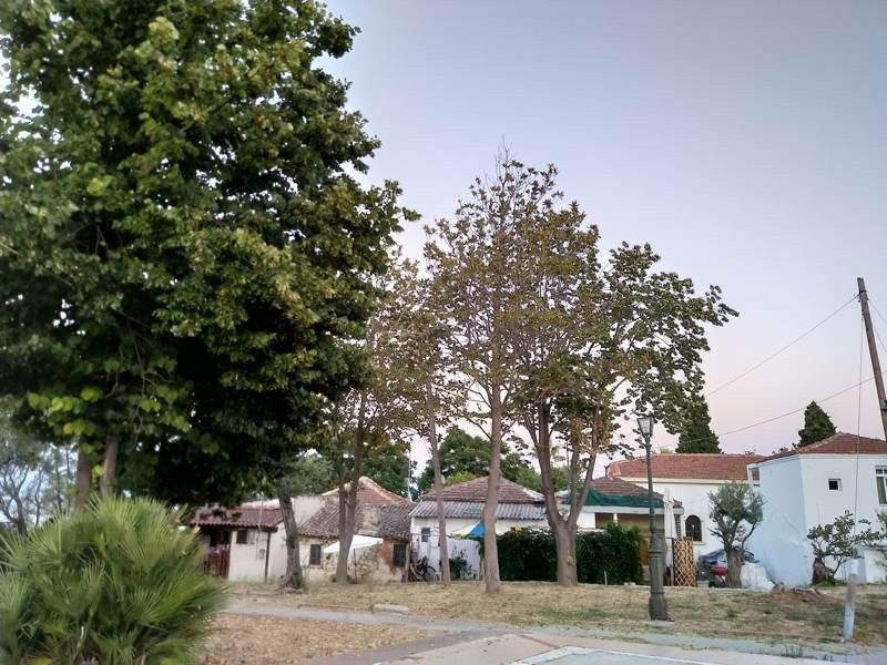 Sony Xperia 10 Mark II Review |  Sony Xperia 10 Mark II Review |