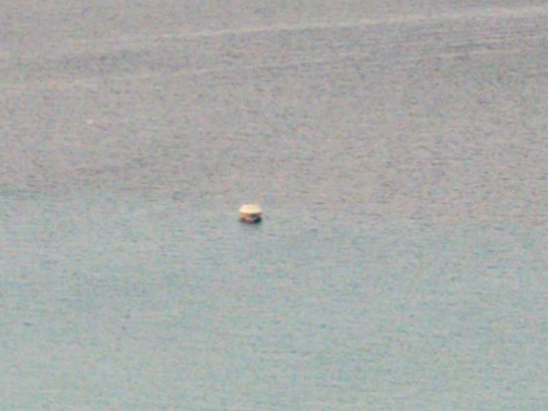 Sony Xperia 10 Mark II Review |  Sony Xperia 10 Mark II Review |