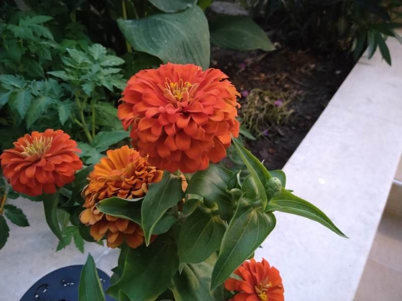 Sony Xperia 10 Mark II Review |  Sony Xperia 10 Mark II Review |