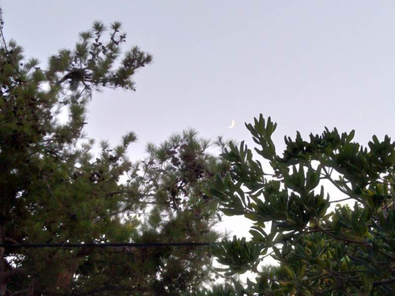 Sony Xperia 10 Mark II Review |  Sony Xperia 10 Mark II Review |