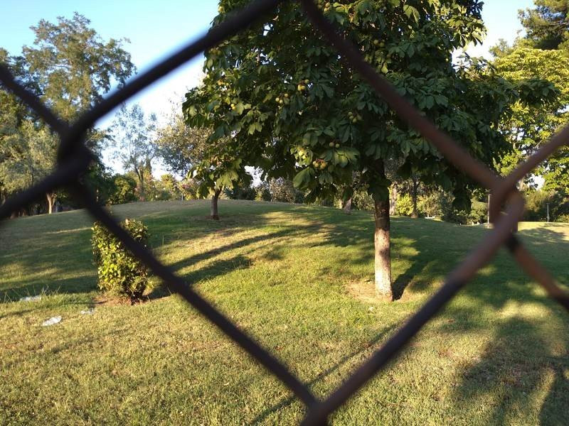 Sony Xperia 10 Mark II Review |  Sony Xperia 10 Mark II Review |