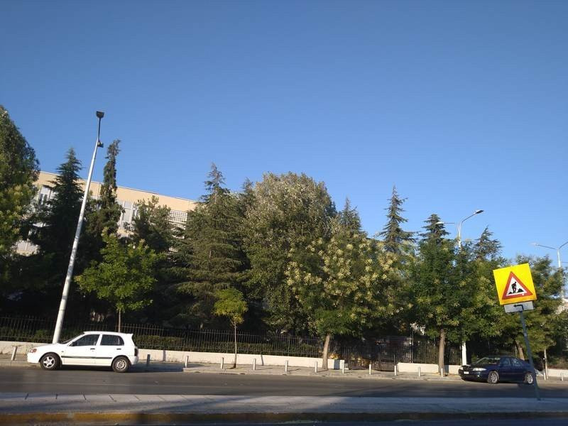 Sony Xperia 10 Mark II Review |  Sony Xperia 10 Mark II Review |