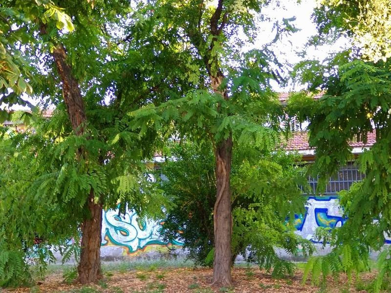 Sony Xperia 10 Mark II Review |  Sony Xperia 10 Mark II Review |