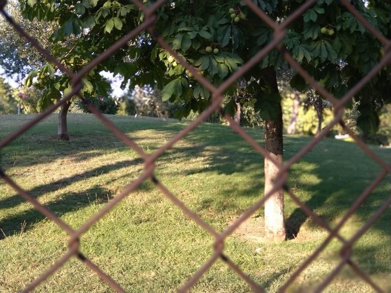 Sony Xperia 10 Mark II Review |  Sony Xperia 10 Mark II Review |