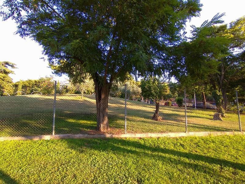 Sony Xperia 10 Mark II Review |  Sony Xperia 10 Mark II Review |