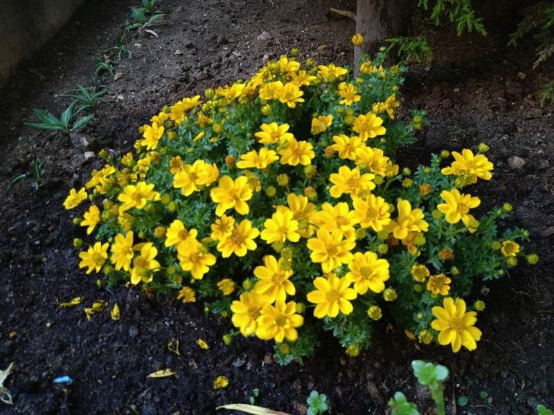 Sony Xperia 10 Mark II Review |  Sony Xperia 10 Mark II Review |