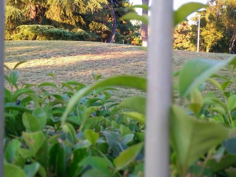 Sony Xperia 10 Mark II Review |  Sony Xperia 10 Mark II Review |