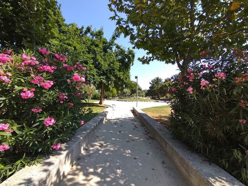 Sony Xperia 10 Mark II Review |  Sony Xperia 10 Mark II Review |