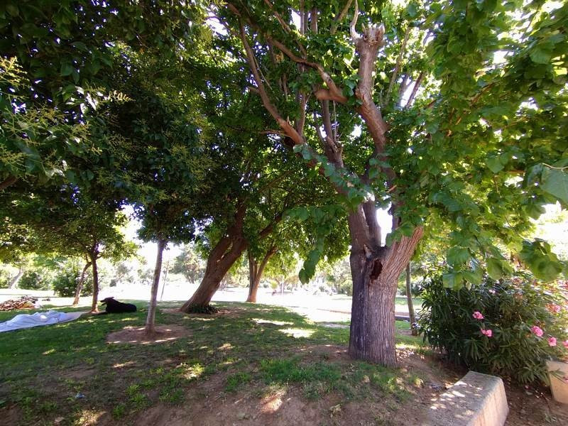 Sony Xperia 10 Mark II Review |  Sony Xperia 10 Mark II Review |