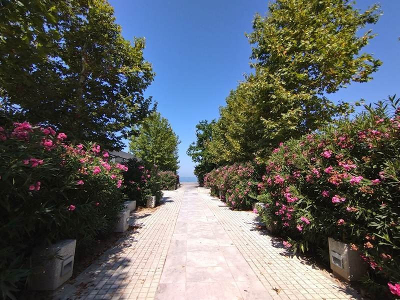 Sony Xperia 10 Mark II Review |  Sony Xperia 10 Mark II Review |