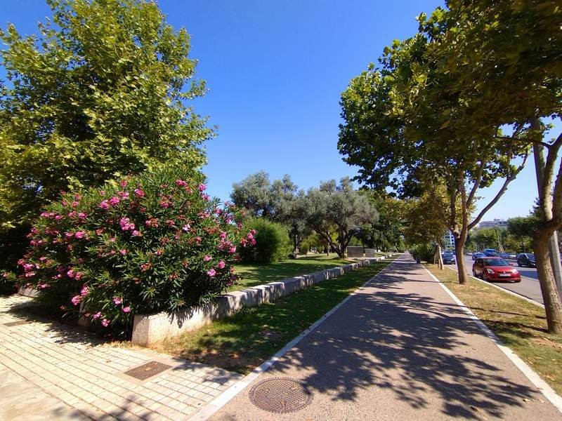 Sony Xperia 10 Mark II Review |  Sony Xperia 10 Mark II Review |