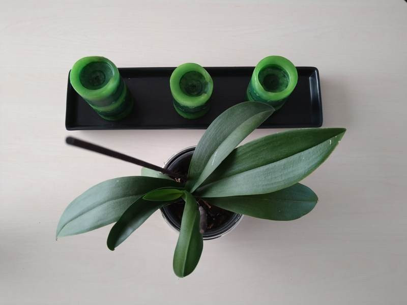 Sony Xperia 10 Mark II Review |  Sony Xperia 10 Mark II Review |