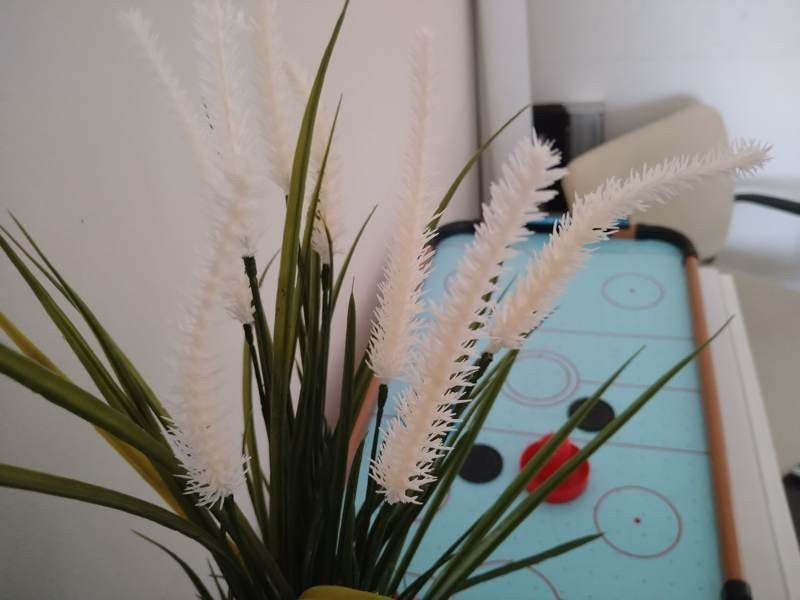 Sony Xperia 10 Mark II Review |  Sony Xperia 10 Mark II Review |